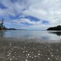 Photo of Penrose Point State Park