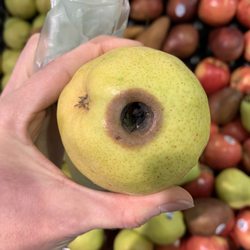 Food Lion - Would you buy this? Most of their produce is in, or close to, this state these days. It's a real shame