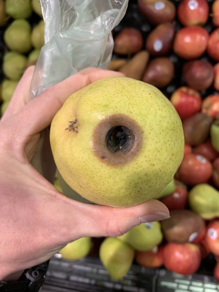 FOOD LION Updated October 2024 1850 Tappahannock Blvd, Tappahannock