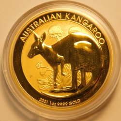 Raleigh Gold Coin Dealers