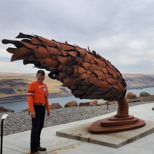 THE VELVET ROPE - Updated November 2025 - 32 Photos & 45 Reviews - 3533 ...