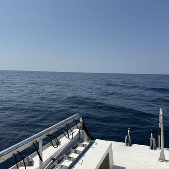 Down Under Dive Shop - Gulf of America! - Dive Shops Near Me - Gulf Shores, Alabama Down Under Dive Shop - Gulf of America! - Dive Shops Near Me - Gulf Shores, Alabama