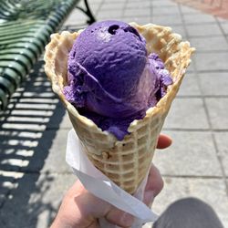 Hartzell's - Rainforest ube ice cream