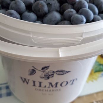 Wilmot Orchards - Farms Near Me - Newcastle, Ontario