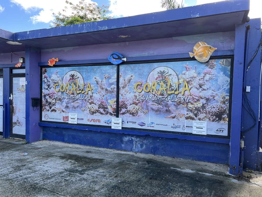 Coralia Aquarium Gallery Image