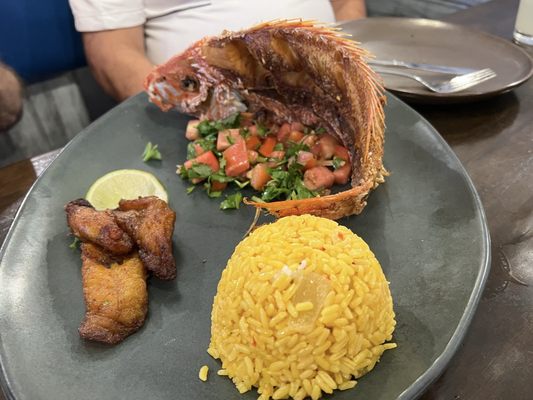 Don Camarón Seafood Grill by null