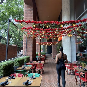 Dasha - Chinese Near Me - Toronto, Ontario