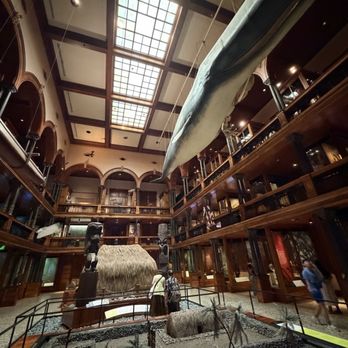 Bishop Museum - Grand hall - Museums Near Me - Honolulu, Hawaii