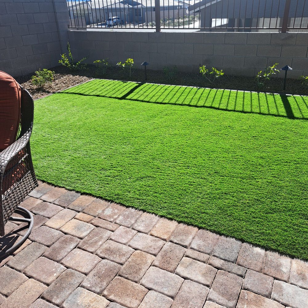New backyard landscaping.