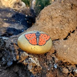 Old Coach Trail South Staging area - Look for small rocks with pictures