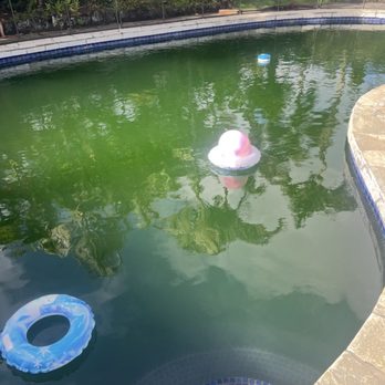 Kai Lani Pools - This is our pool 1 month after they convinced us to drain it and start over. - Pool & Hot Tub Service Near Me