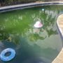 Photo of Kai Lani Pools