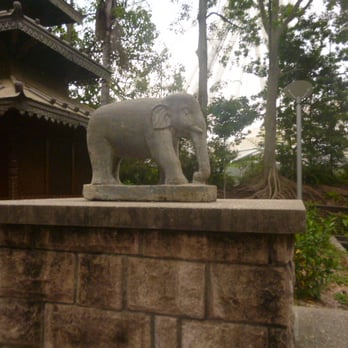 Nepalese Peace Pagoda - Local Flavor Near Me - Brisbane, QLD