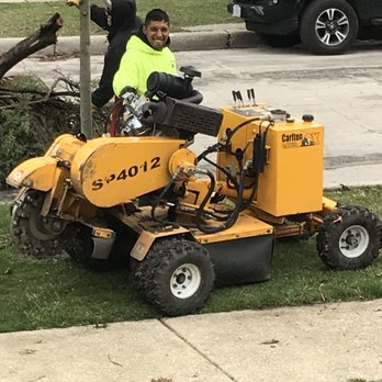 Jose's Tree Service - The right equipment - Tree Services Near Me Jose's Tree Service - The right equipment - Tree Services Near Me