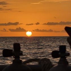 Maui Diamond - Sunset whale Watch