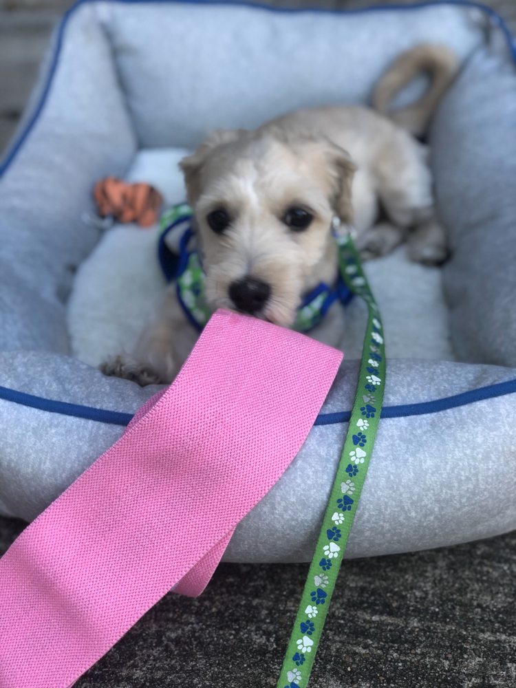 HOUSTON ANIMAL HOSPITAL Updated September 2024 21 Photos & 35