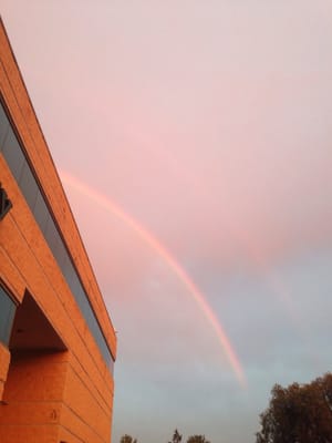 Wine Library by null