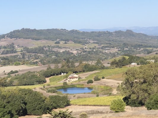 North Sonoma Mountain Regional Park by null