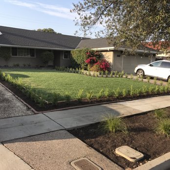 Flores Gardening - Grass and plants - Gardeners Near Me Flores Gardening - Grass and plants - Gardeners Near Me