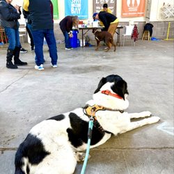 Berkeley Humane