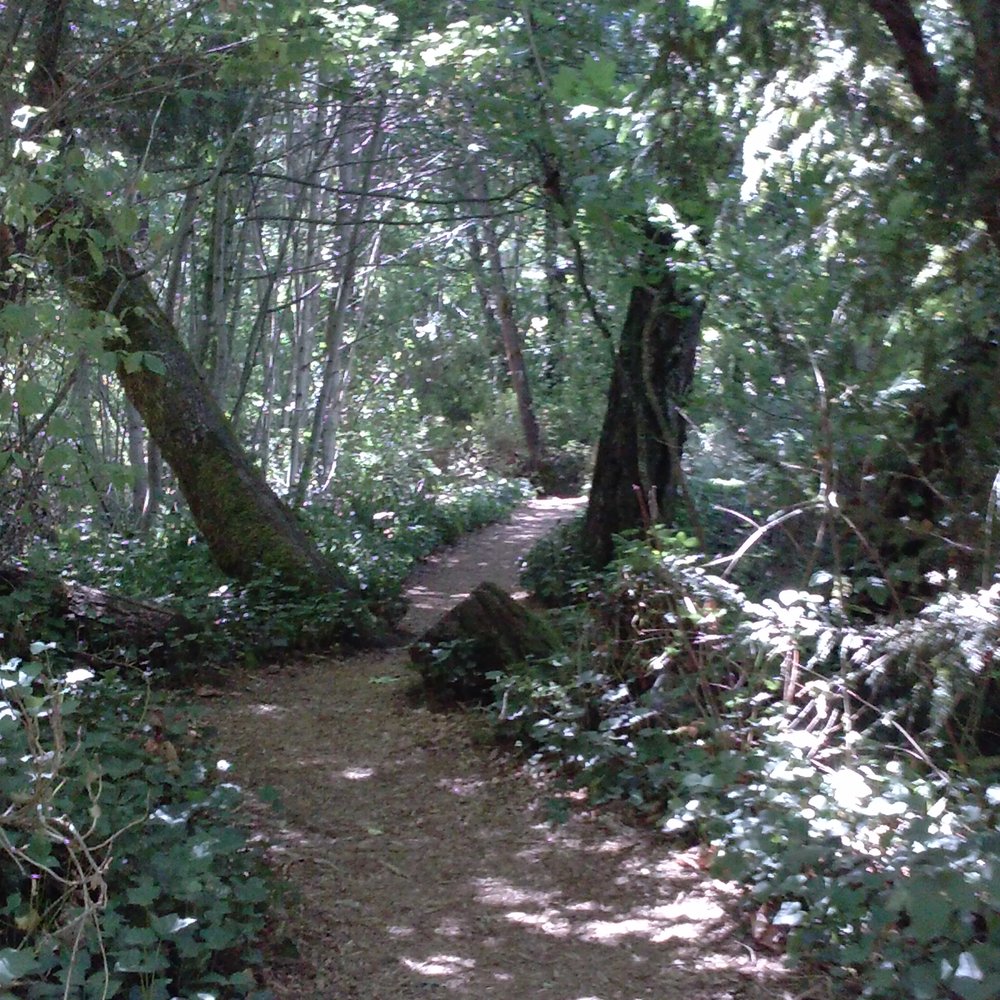 Lithia Park - Trail leading TO the swimming reservoir... - Parks Near Me - Ashland, Oregon Lithia Park - Trail leading TO the swimming reservoir... - Parks Near Me - Ashland, Oregon