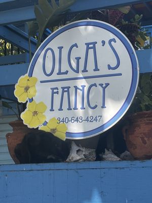 Olga's Fancy by null
