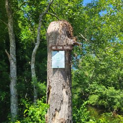 Mount Tom Trail