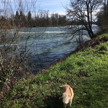 Skinner's Butte Park - Parks Near Me - Eugene, Oregon