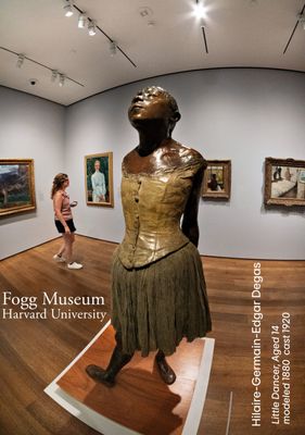 Harvard Art Museums by null