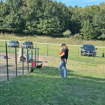 Pumpkin Creek Farms - Animals at the petting zoo area! - Attraction Farms Near Me - Sherman, Illinois Pumpkin Creek Farms - Animals at the petting zoo area! - Attraction Farms Near Me - Sherman, Illinois