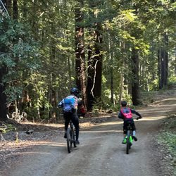 Straight Wheel Cycling - Mountain Biking