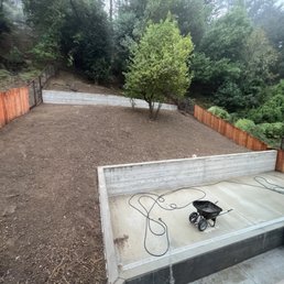 Back yard