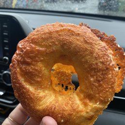 Cheddar Bagel Cheddar Bagel