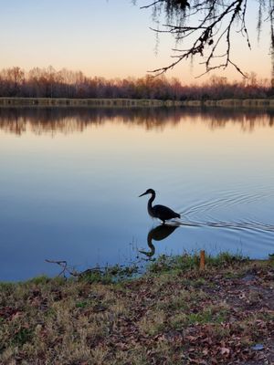 Lake View Spots