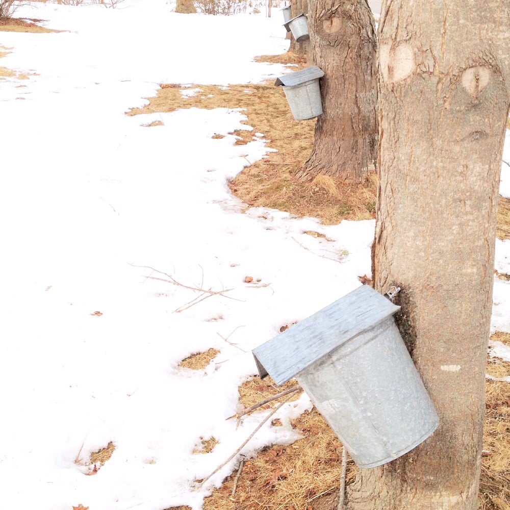Town of Harpswell - social services organization in Harpswell, ME