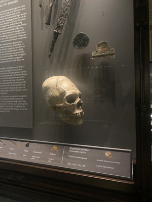 Photo of Naturhistorisches Museum - Vienna, 9, AT. rip skull