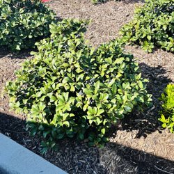 Amazing Grace Nursery