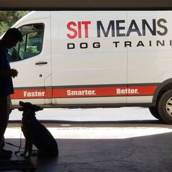 Sit Means Sit - New Hampshire