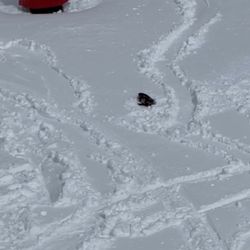 Brianhead Sports - My snowboard binding on the ground under the lift!