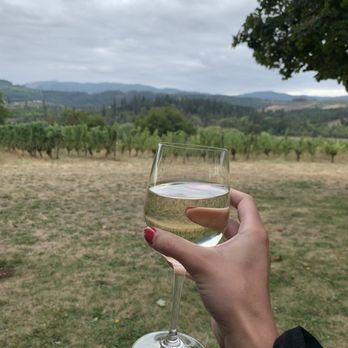 Willamette Valley Vineyards - Tualatin Estate - Wineries Near Me - Forest Grove, Oregon Willamette Valley Vineyards - Tualatin Estate - Wineries Near Me - Forest Grove, Oregon