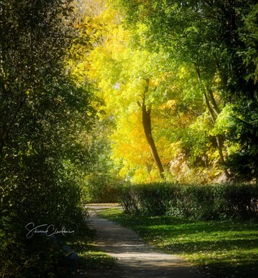 Greenough Park by null