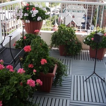 Designer Deck - Decks & Railing Near Me - Toronto, Ontario Designer Deck - Decks & Railing Near Me - Toronto, Ontario