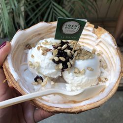 Great Northwest Philippines Travel Stop & Viewing Deck - Vegan. Mama Coco fresh young coconut with coconut ice cream.