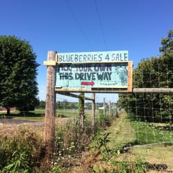 Blueberries 4 All - Here is the sign out front