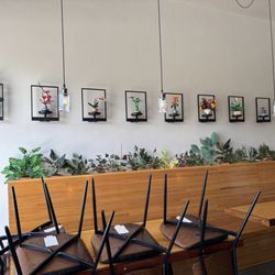 Alchemy Distillery - The tasting room. Very tasteful!