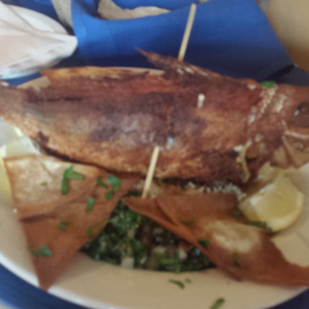 Cedars Restaurant - Red snapper...amazing! - Lebanese Near Me - Camp Hill, Pennsylvania