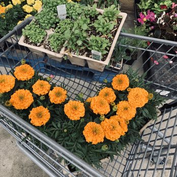 Just 99 Cent Deals - Discount Store Near Me - Glendora, California Just 99 Cent Deals - Discount Store Near Me - Glendora, California