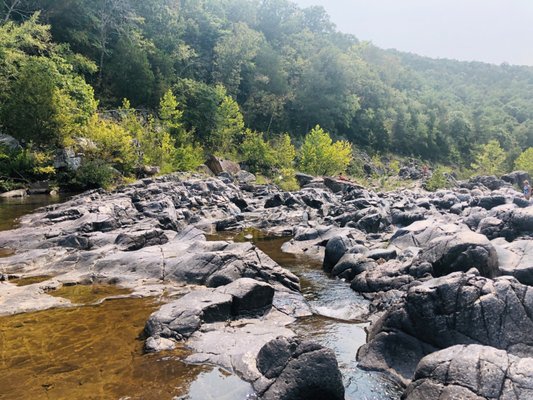 Johnson's Shut-Ins State Park by null