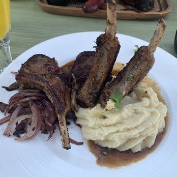 The Olive Restobar - Lamb chops - delicious! - Mediterranean Near Me - Downey, California