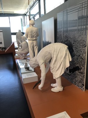 Deutsches Hopfenmuseum by null